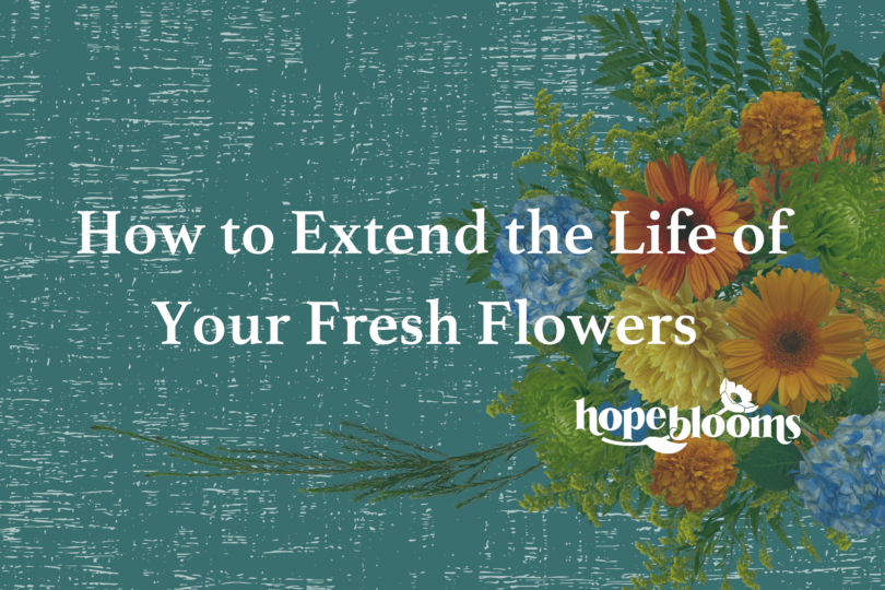 Colorful flower background with words- How to Extend the Life of your Fresh Flowers- over the top