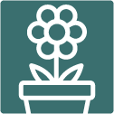 FreshCutFlowers-Icon