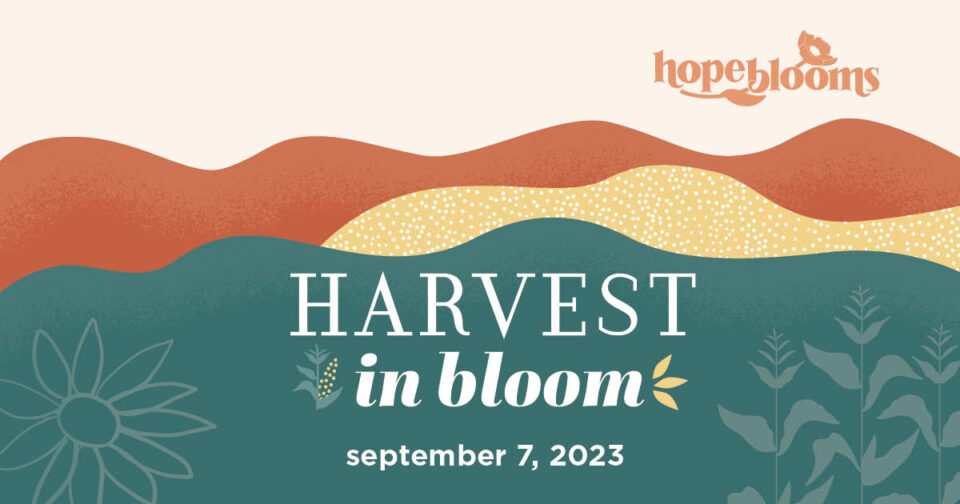 Harvest in Bloom 2023