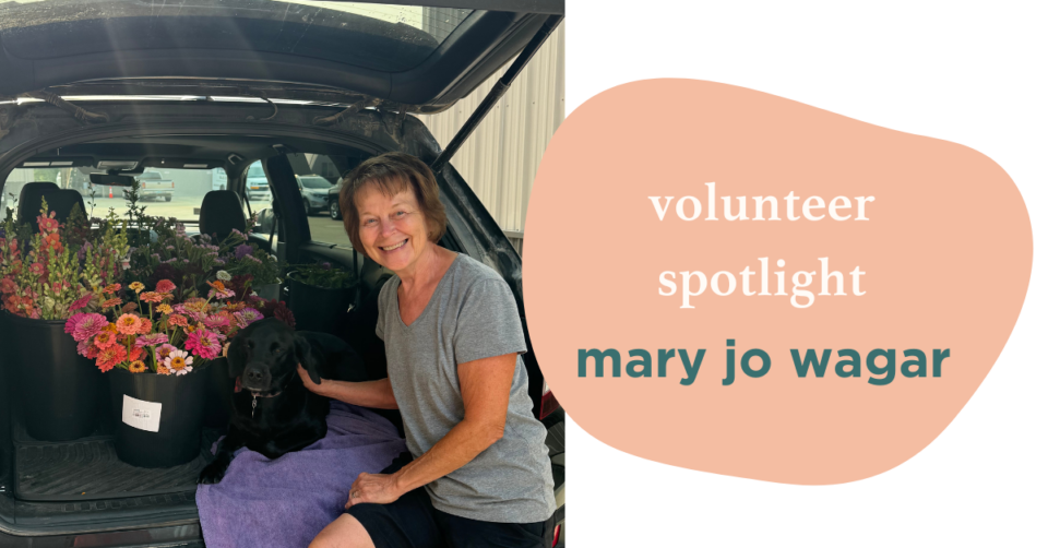 Volunteer spotlight (2)